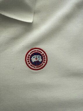 Canada goose